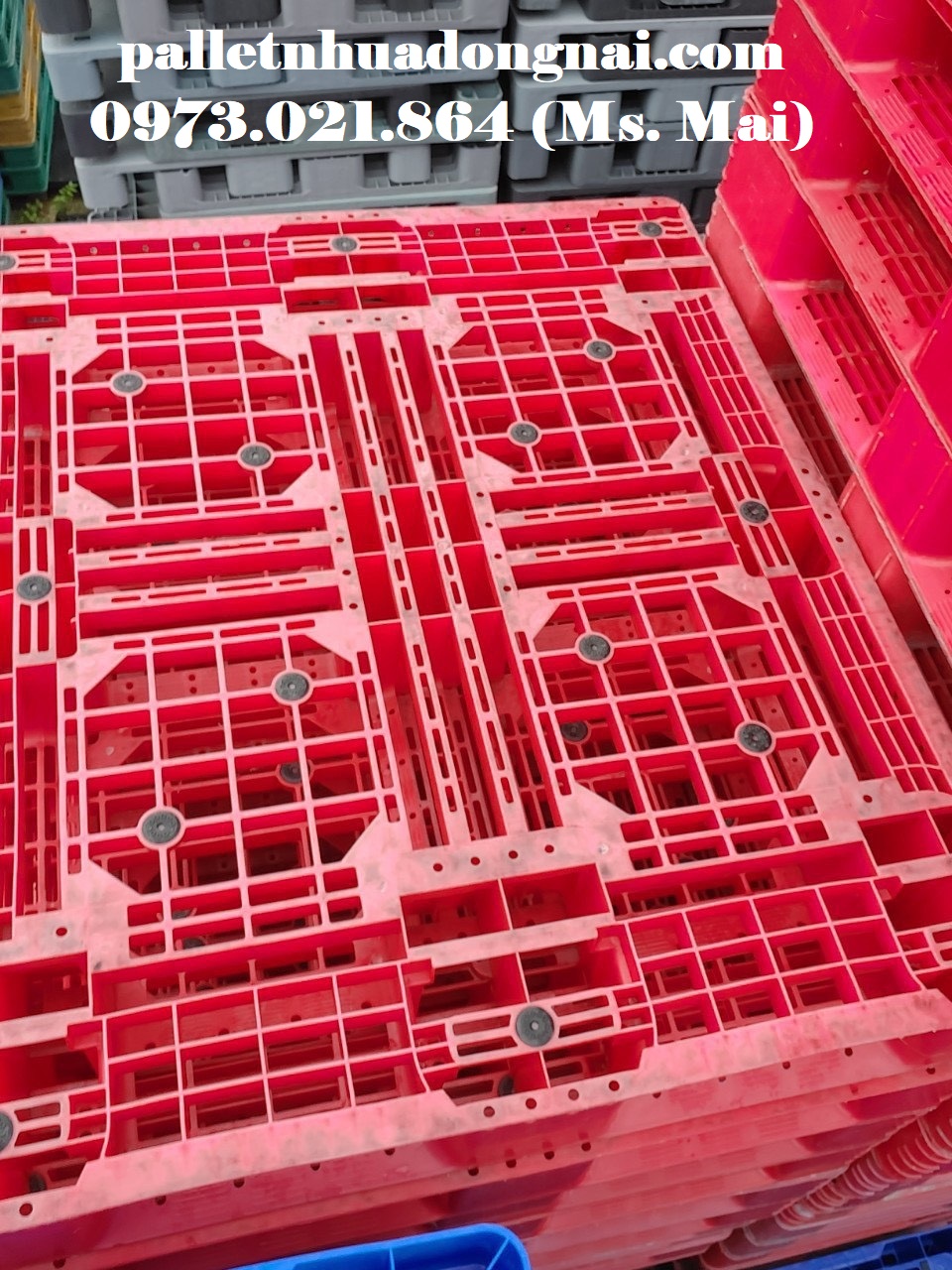 Pallet nhựa tại Bà Rịa Vũng Tàu, liên hệ 0973021864