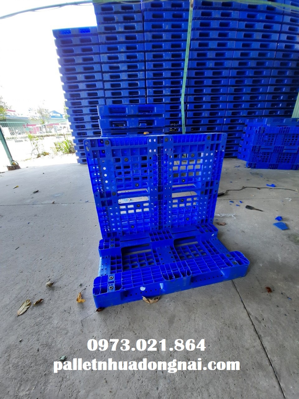 Pallet nhựa tại Tiền Giang, liên hệ 0973021864