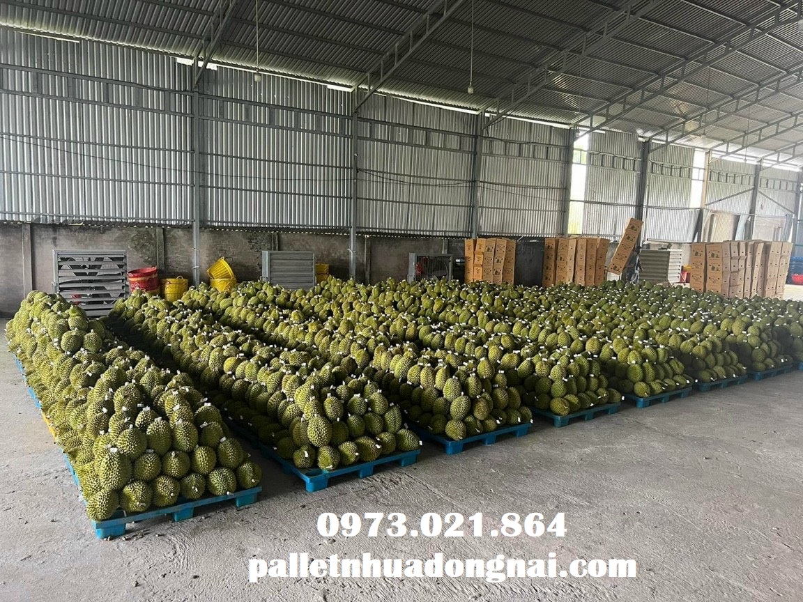 Pallet nhựa tại Đồng Tháp, liên hệ 0973021864 (24/7)