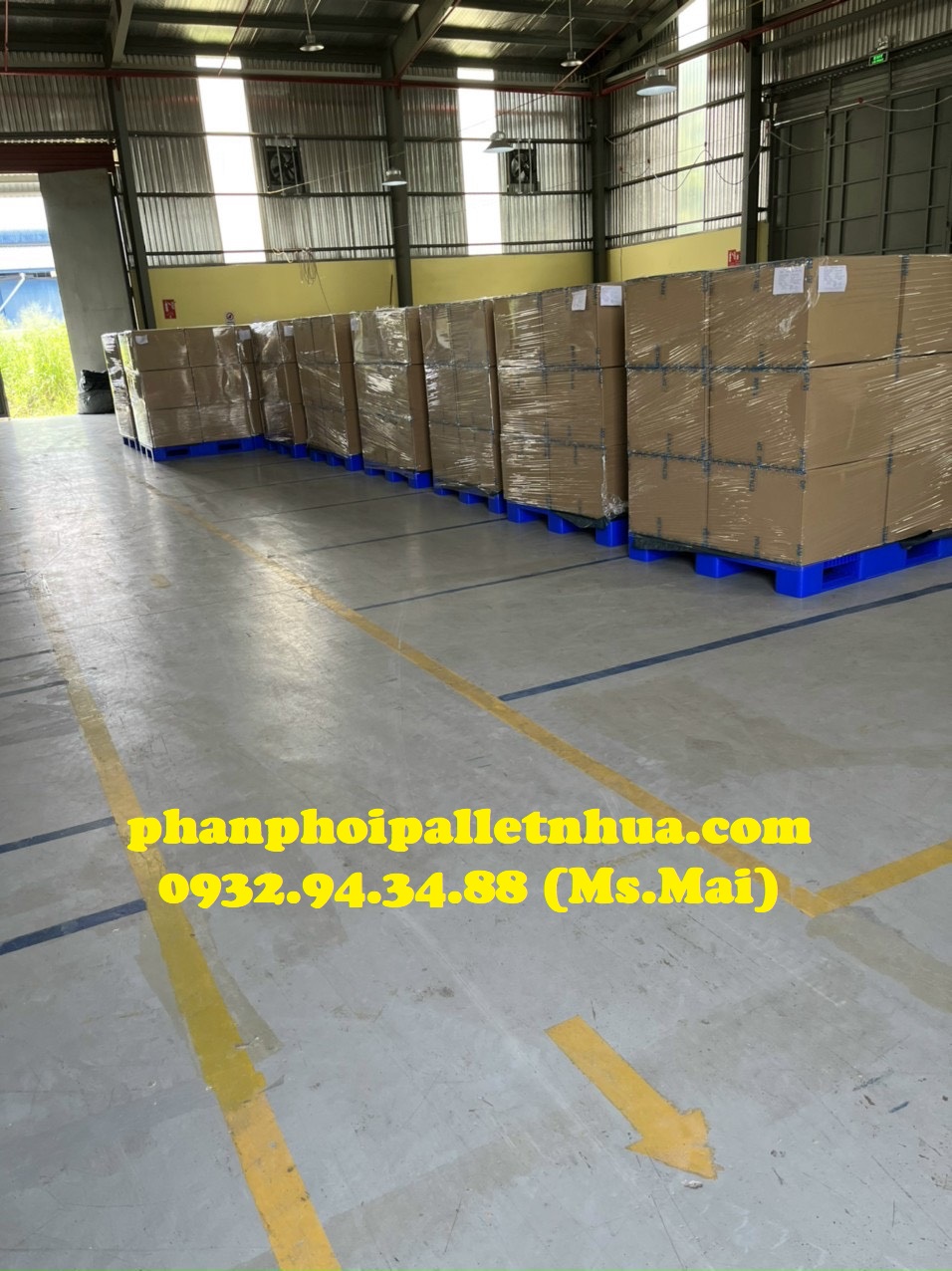 Đơn vị bán pallet nhựa giá rẻ, liên hệ 0932943488