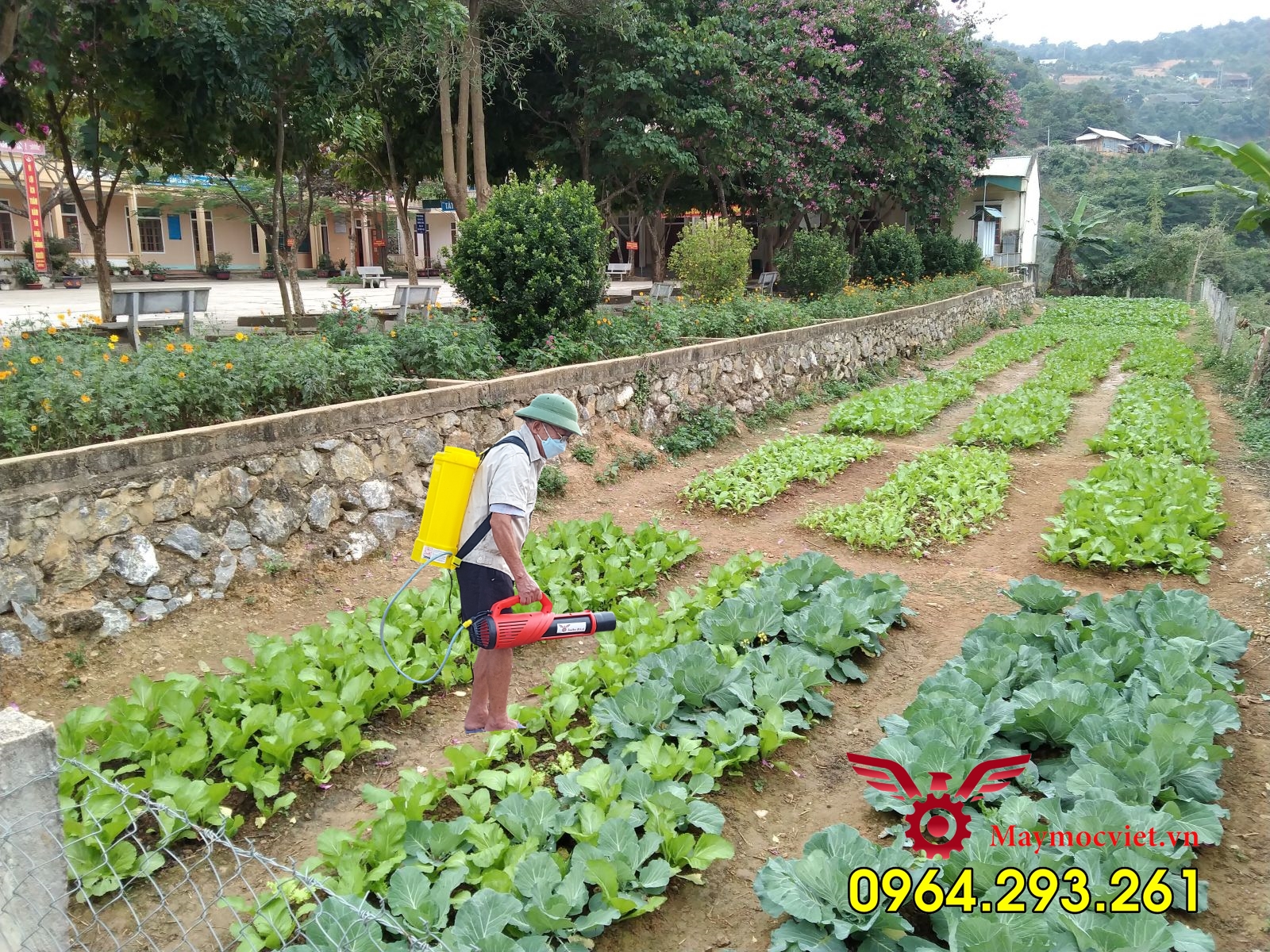 Combo máy phun thuốc diệt sâu bệnh hại cho rau hiệu Turbo BA6