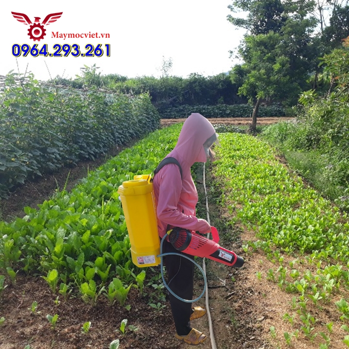Combo máy phun thuốc diệt sâu bệnh hại cho rau hiệu Turbo BA6