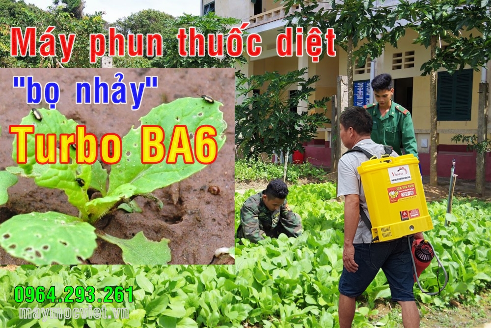 Combo máy phun thuốc diệt sâu bệnh hại cho rau hiệu Turbo BA6