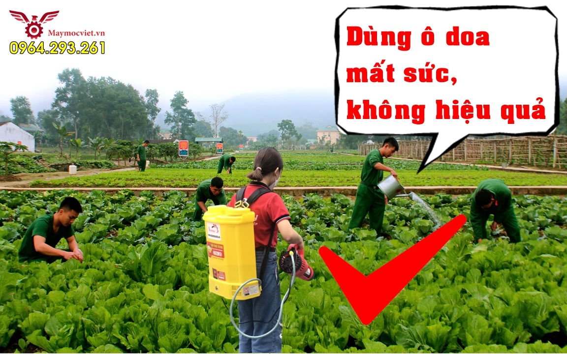 Combo máy phun thuốc diệt sâu bệnh hại cho rau hiệu Turbo BA6