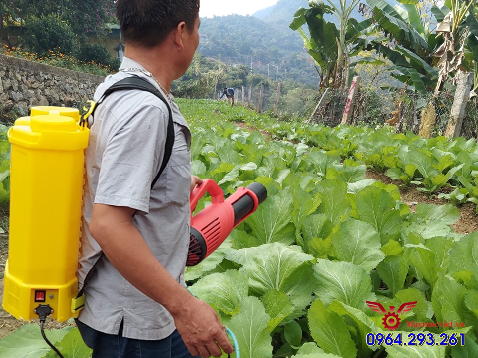 Combo máy phun thuốc diệt sâu bệnh hại cho rau hiệu Turbo BA6