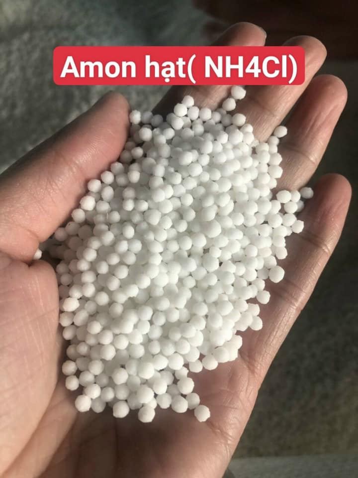 amon hạt trắng dùng trong nông nghiệp, sản xuất phân bón