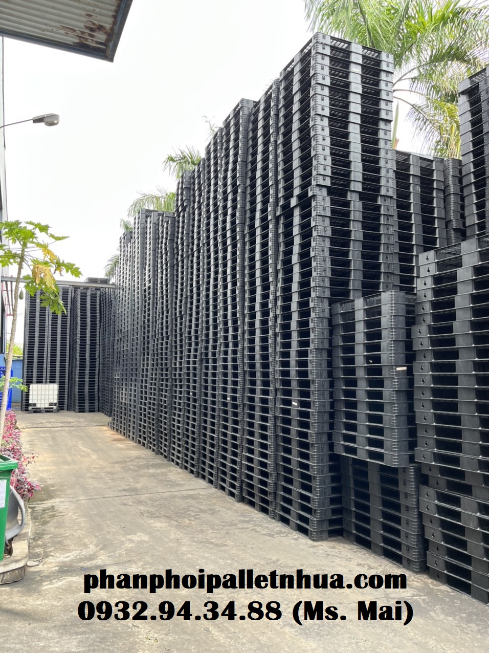 Pallet nhựa giá rẻ tại Tây Ninh, liên hệ 0932943488