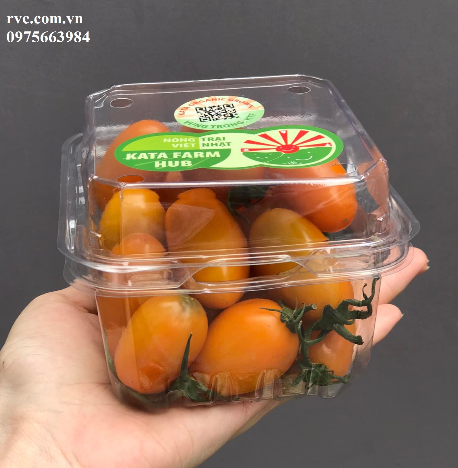 Hộp nhựa trong bảo quản trái cây an toàn, tiện lợi