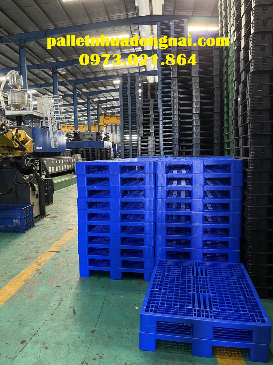 Pallet nhựa tại Bạc Liêu, liên hệ 0973021864 (24/7)