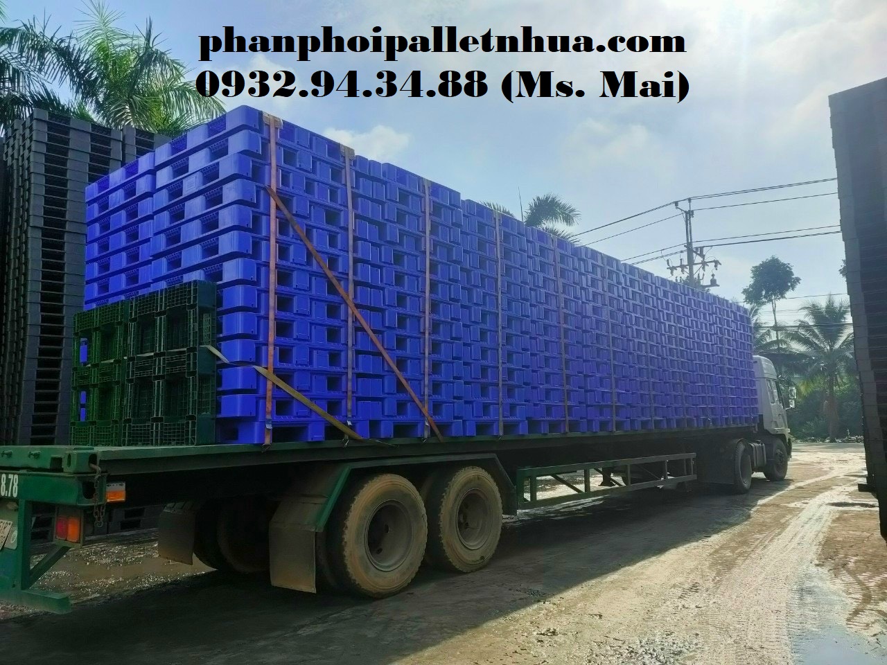 Chuyên cung cấp pallet nhựa giá rẻ tại Cần Thơ