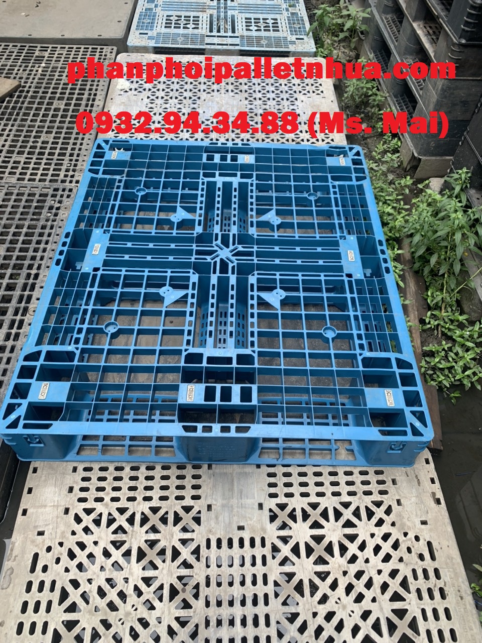 Chuyên cung cấp pallet nhựa giá rẻ tại Cần Thơ