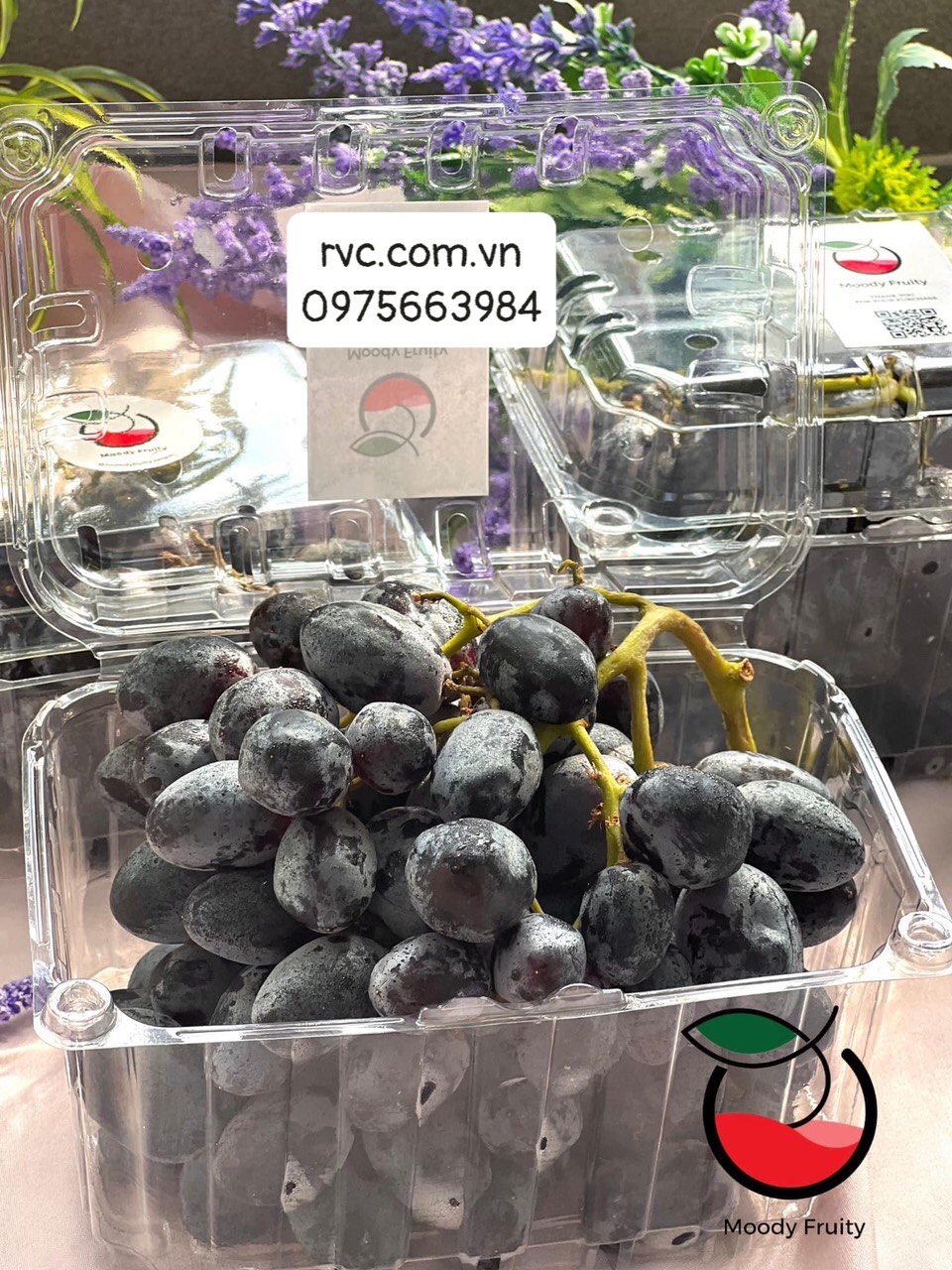 Mua hộp nhựa đựng nho đảm bảo chất lượng ở đâu?