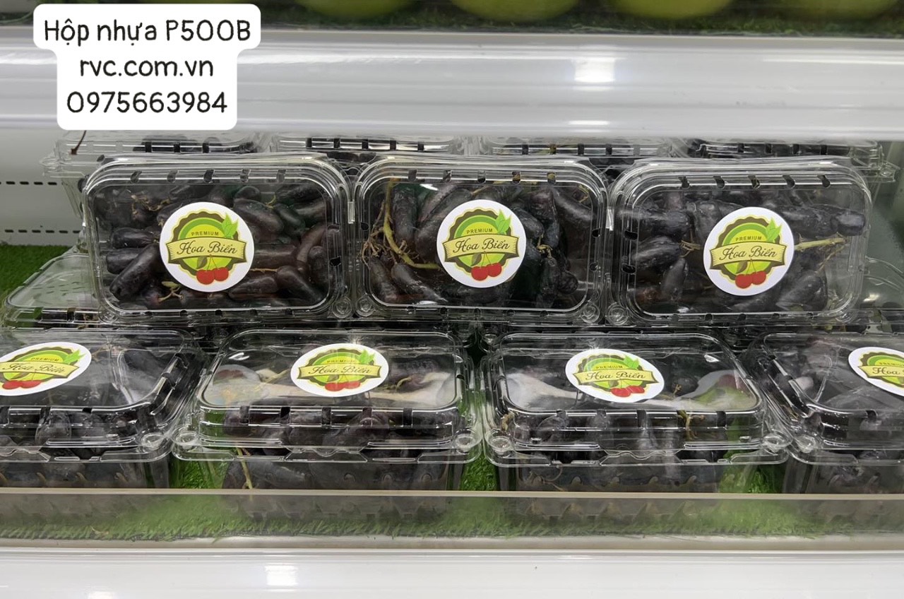 Mua hộp nhựa đựng nho đảm bảo chất lượng ở đâu?