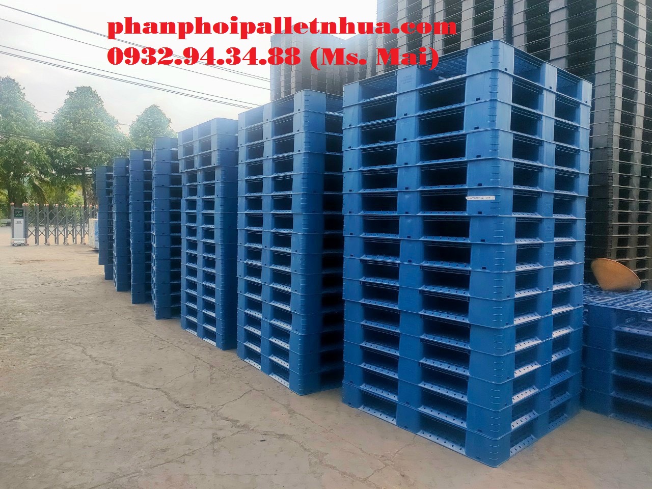 Bán pallet nhựa giá rẻ tại Long An, liên hệ 0932943488