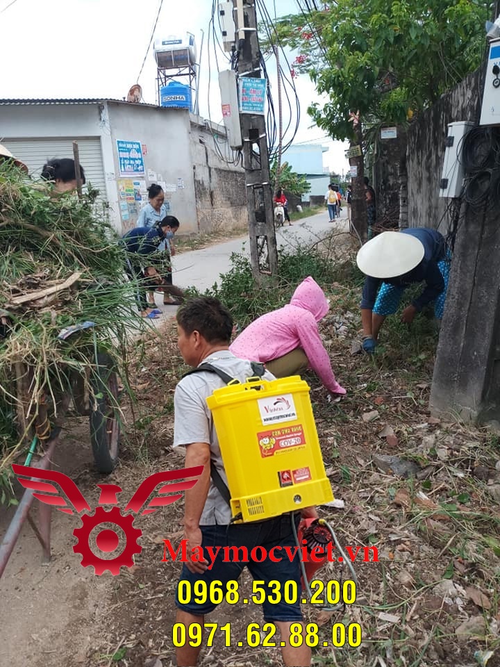 Muỗi thường xuất hiện ở đâu và cách diệt muỗi hiệu quả