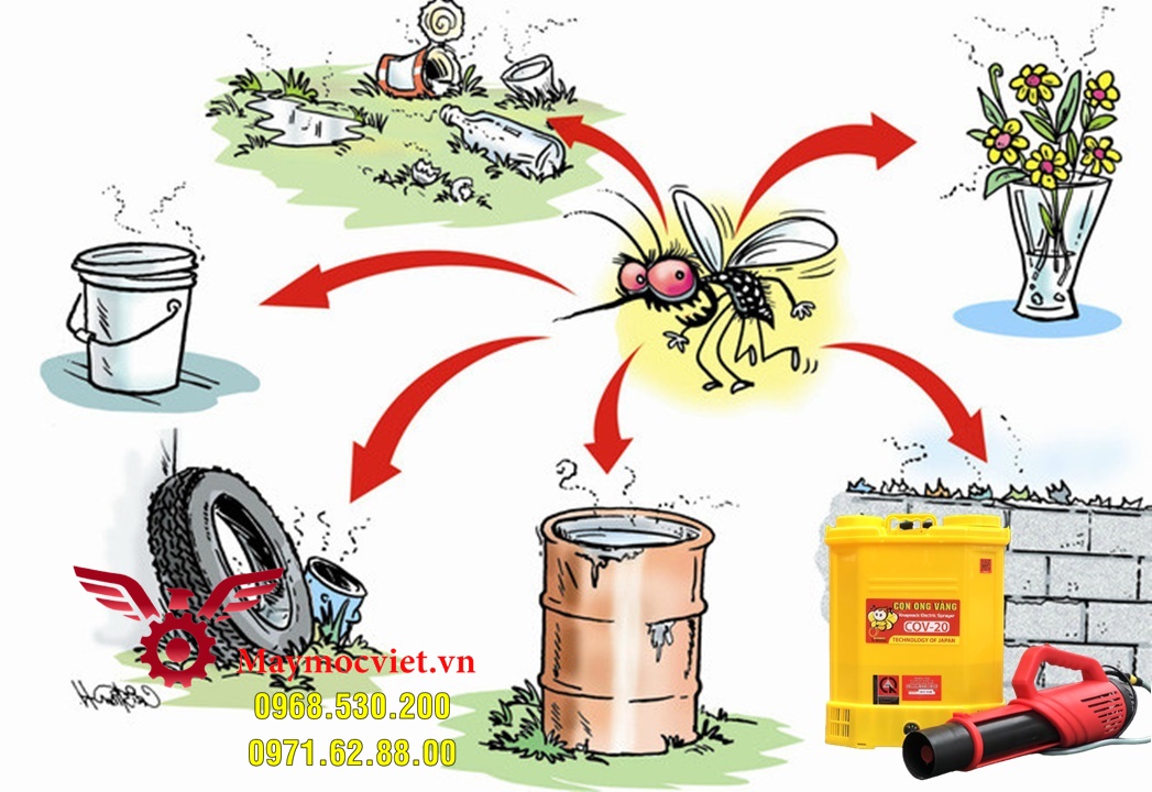 Muỗi thường xuất hiện ở đâu và cách diệt muỗi hiệu quả