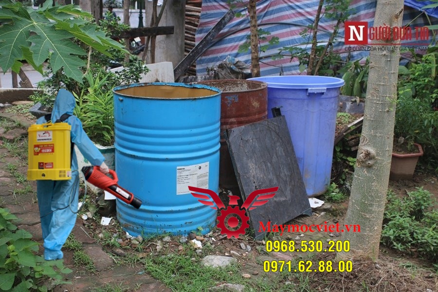 Muỗi thường xuất hiện ở đâu và cách diệt muỗi hiệu quả