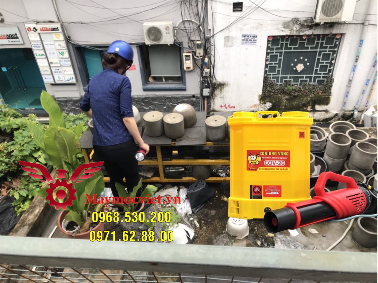 Muỗi thường xuất hiện ở đâu và cách diệt muỗi hiệu quả