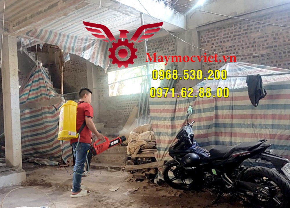 Muỗi thường xuất hiện ở đâu và cách diệt muỗi hiệu quả