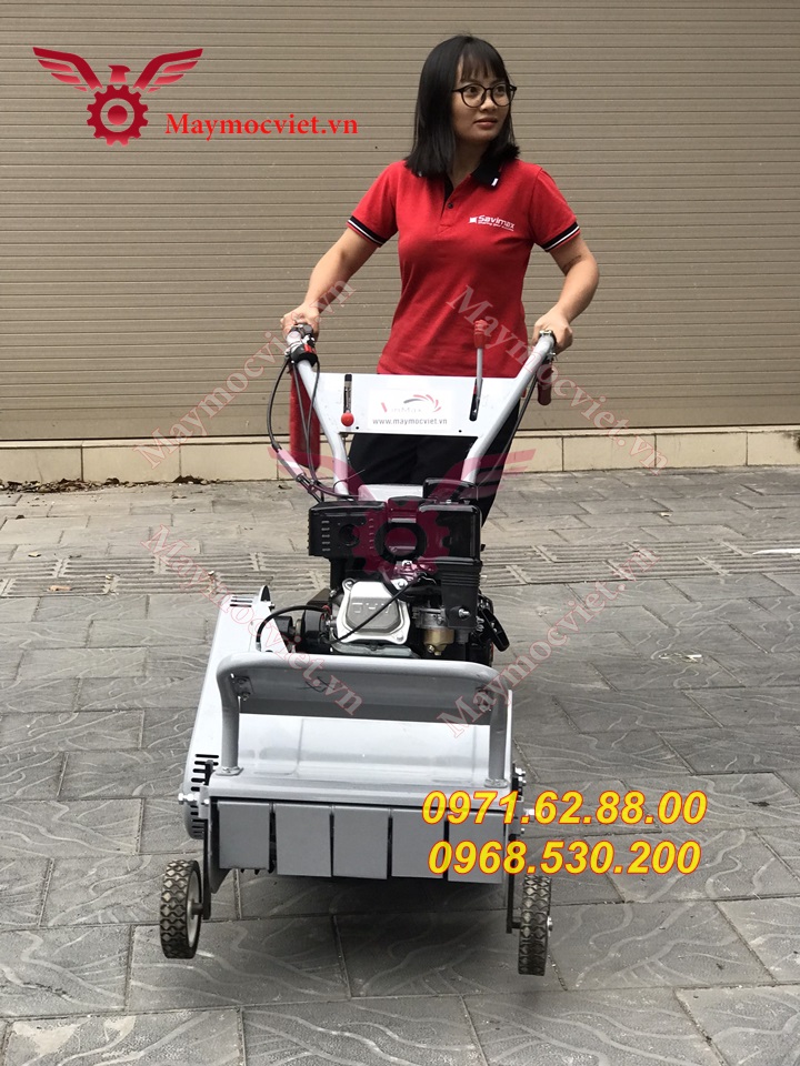Máy dọn cỏ vườn cây giá rẻ tại Bình Dương