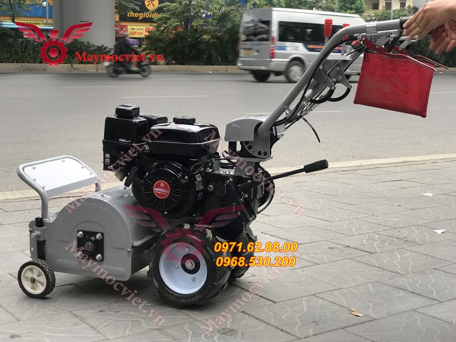Máy dọn cỏ vườn cây giá rẻ tại Bình Dương