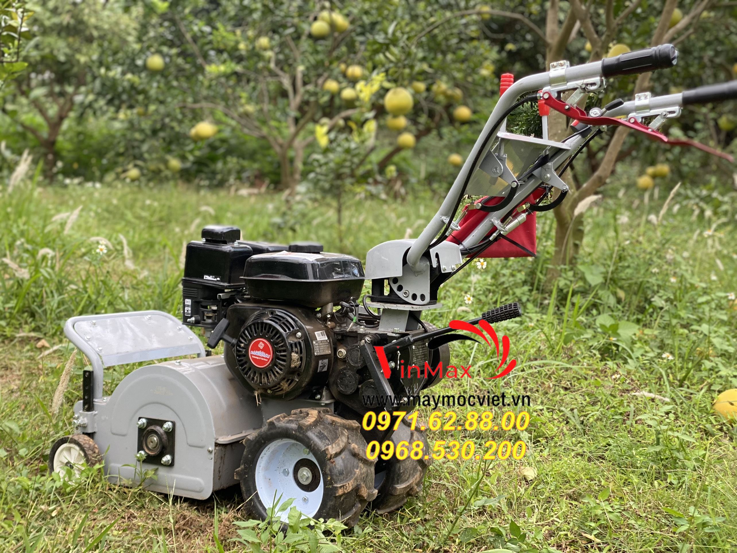 Máy dọn cỏ vườn cây giá rẻ tại Bình Dương