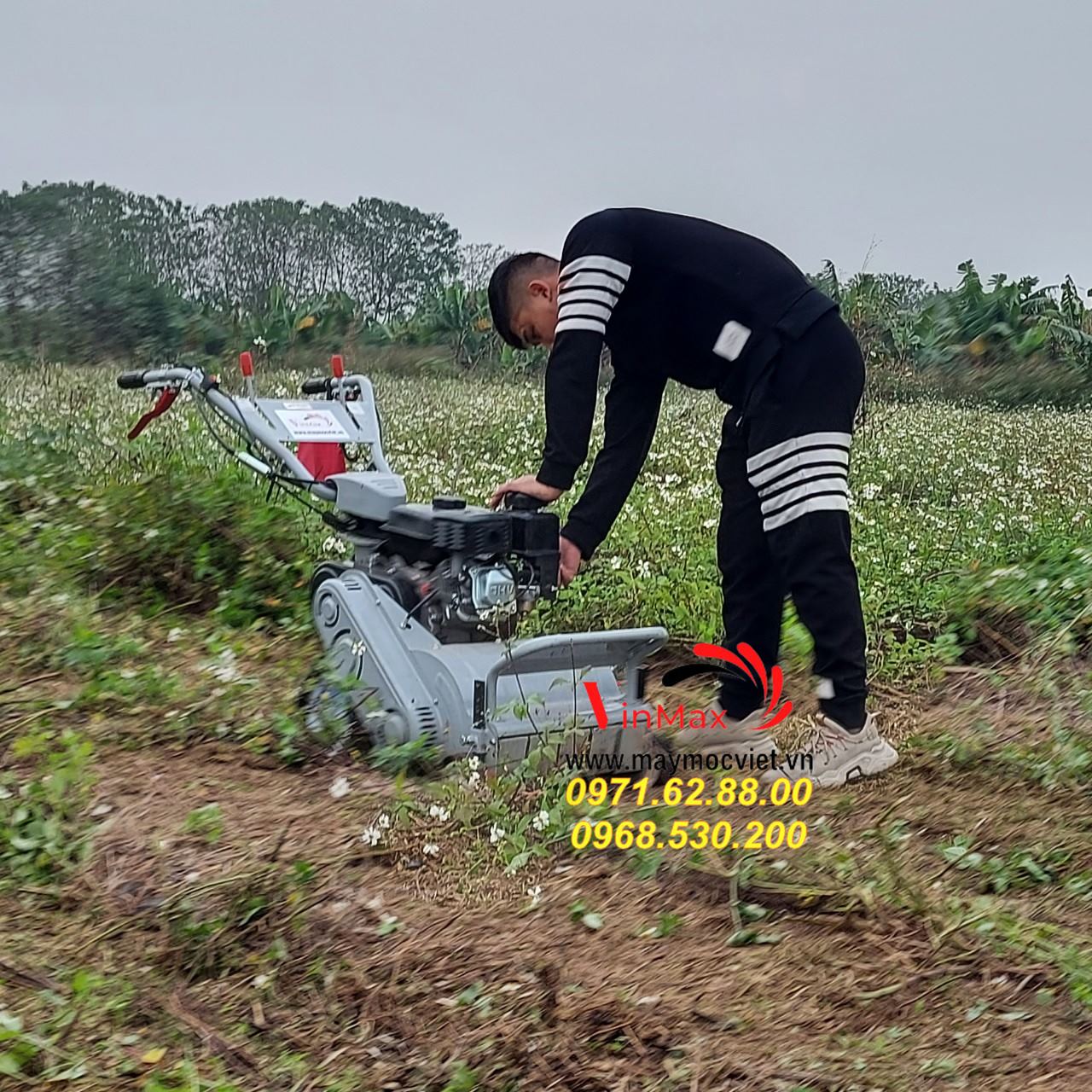 Máy dọn cỏ vườn cây giá rẻ tại Bình Dương