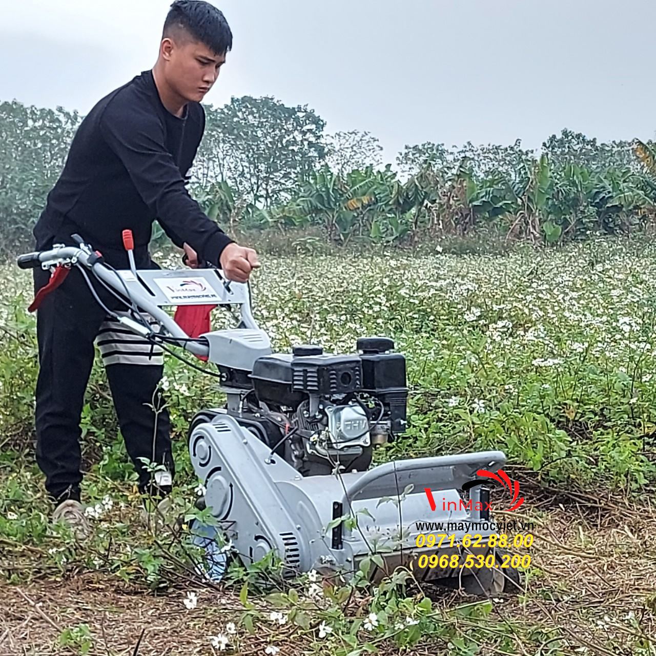 Máy dọn cỏ vườn cây giá rẻ tại Bình Dương