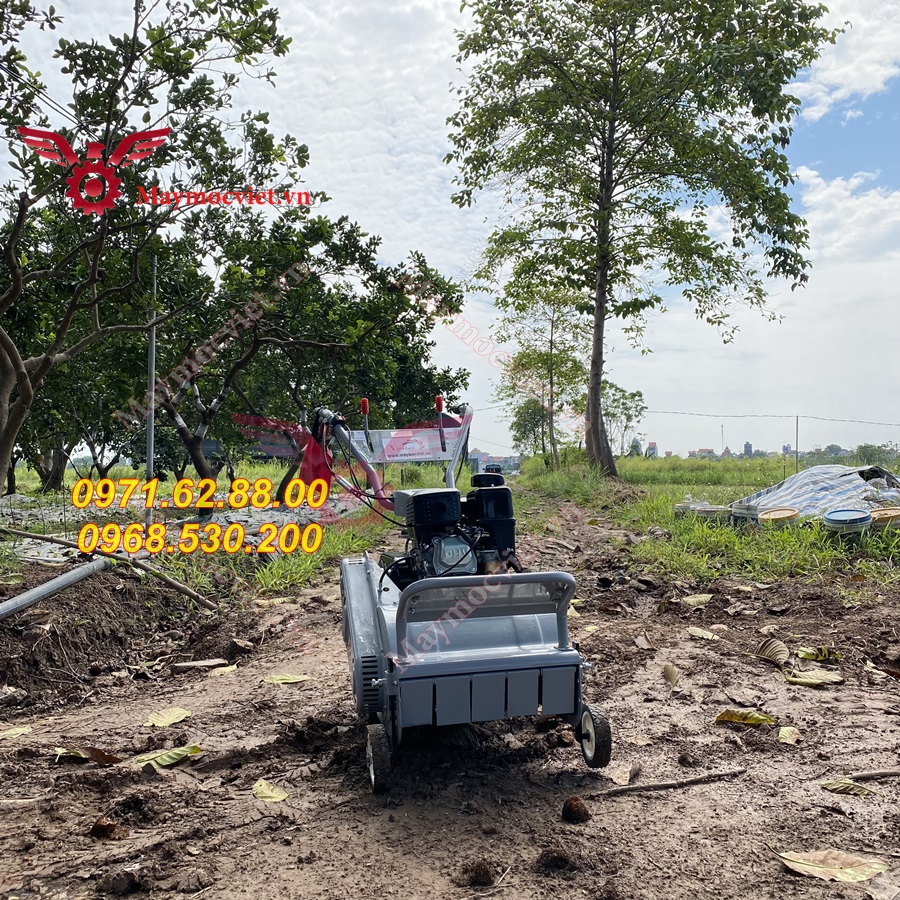 Máy dọn cỏ vườn cây giá rẻ tại Bình Dương