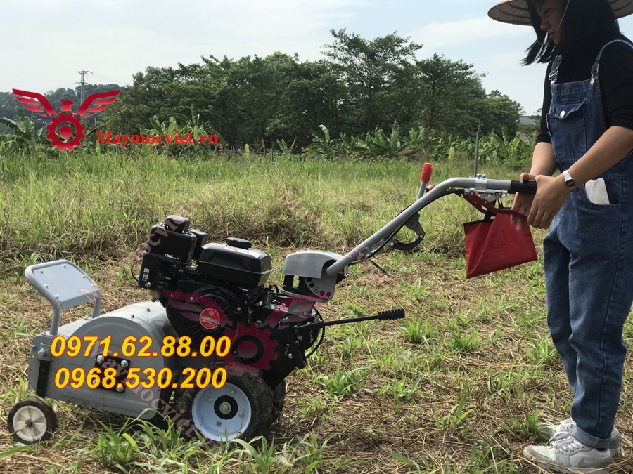 Máy dọn cỏ vườn cây giá rẻ tại Bình Dương