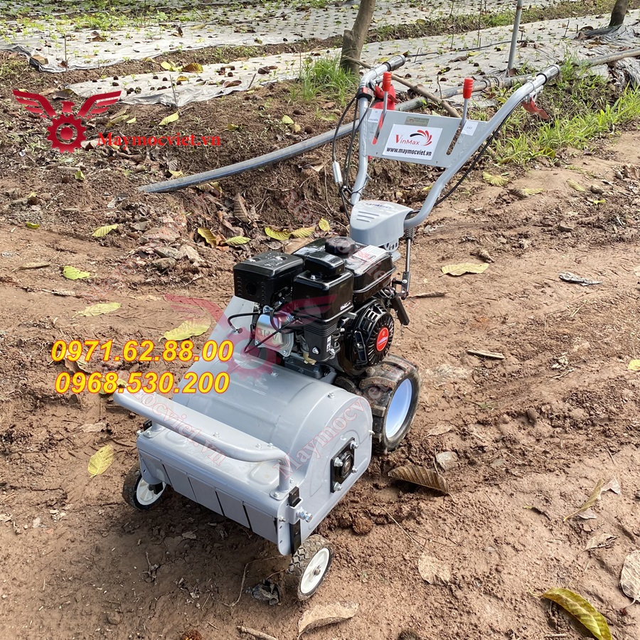 Máy dọn cỏ vườn cây giá rẻ tại Bình Dương