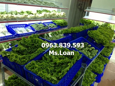 Sóng nhựa hở đựng trái cây, rau củ quả kê kệ / 0963.839.593