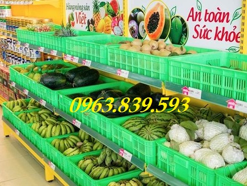 Sóng nhựa hở đựng trái cây, rau củ quả kê kệ / 0963.839.593