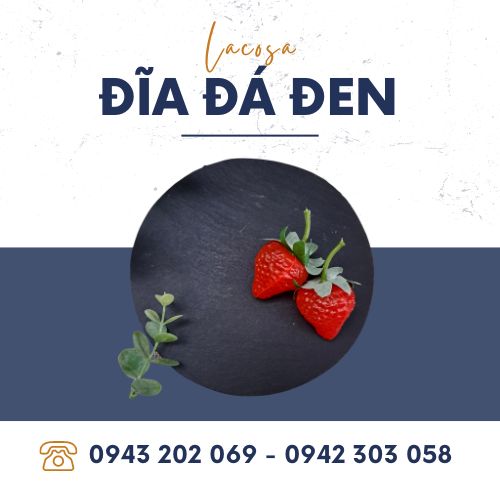 Đĩa đá đen chụp ảnh, trưng bày thức ăn Lacosa