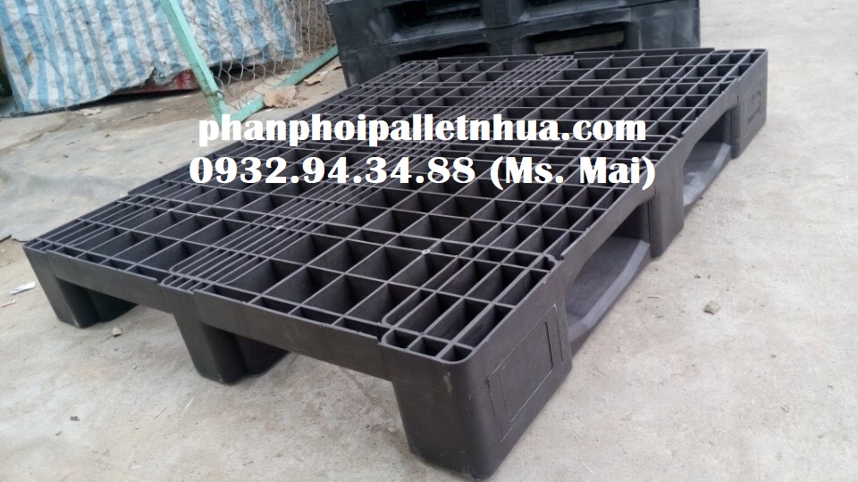 Phân phối pallet nhựa giá rẻ tại Đăk Nông