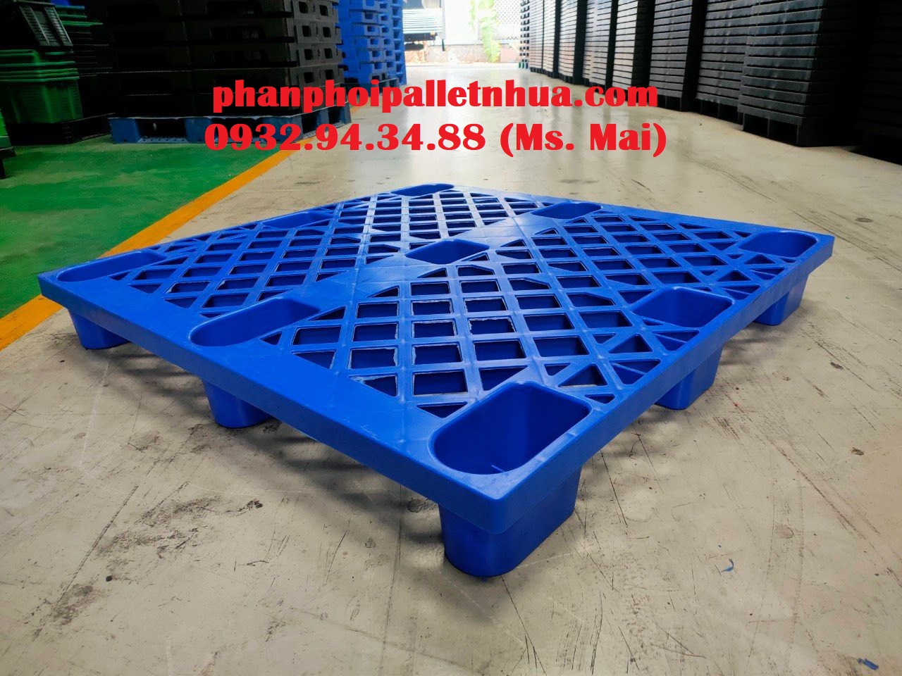 Phân phối pallet nhựa giá rẻ tại Đăk Nông