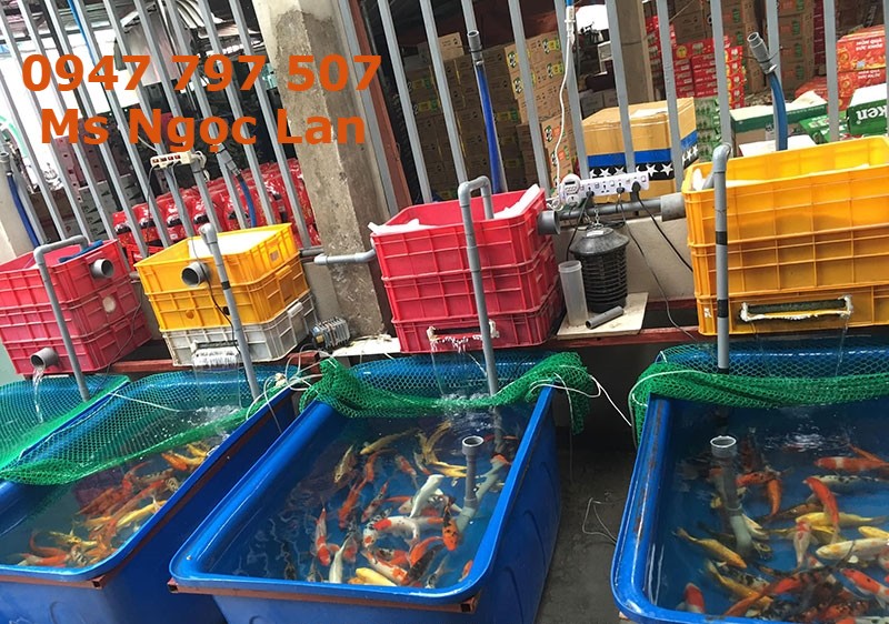 Bán thùng nhựa tròn công nghiệp dùng trong các xí nghiệp