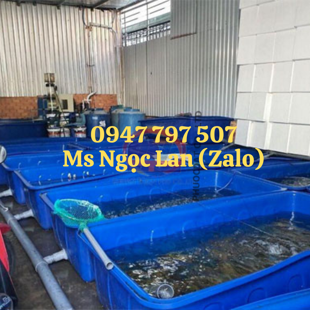 Bán thùng nhựa tròn công nghiệp dùng trong các xí nghiệp