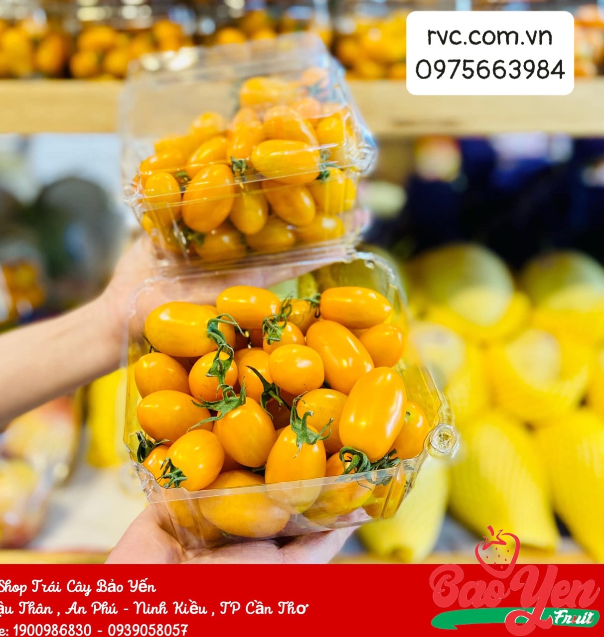 Hộp nhựa trái cây P500D đảm bảo chất lượng