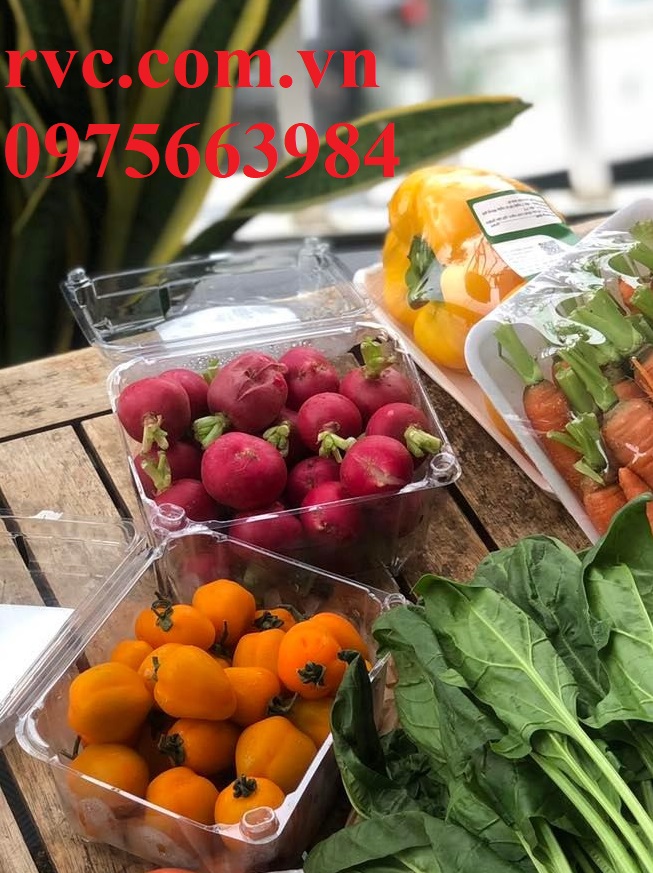 Hộp nhựa trái cây P500D đảm bảo chất lượng