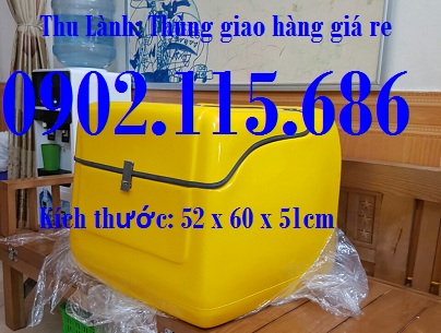 Thùng giao hàng cỡ trung 1 kích thước 52x60x51 mm