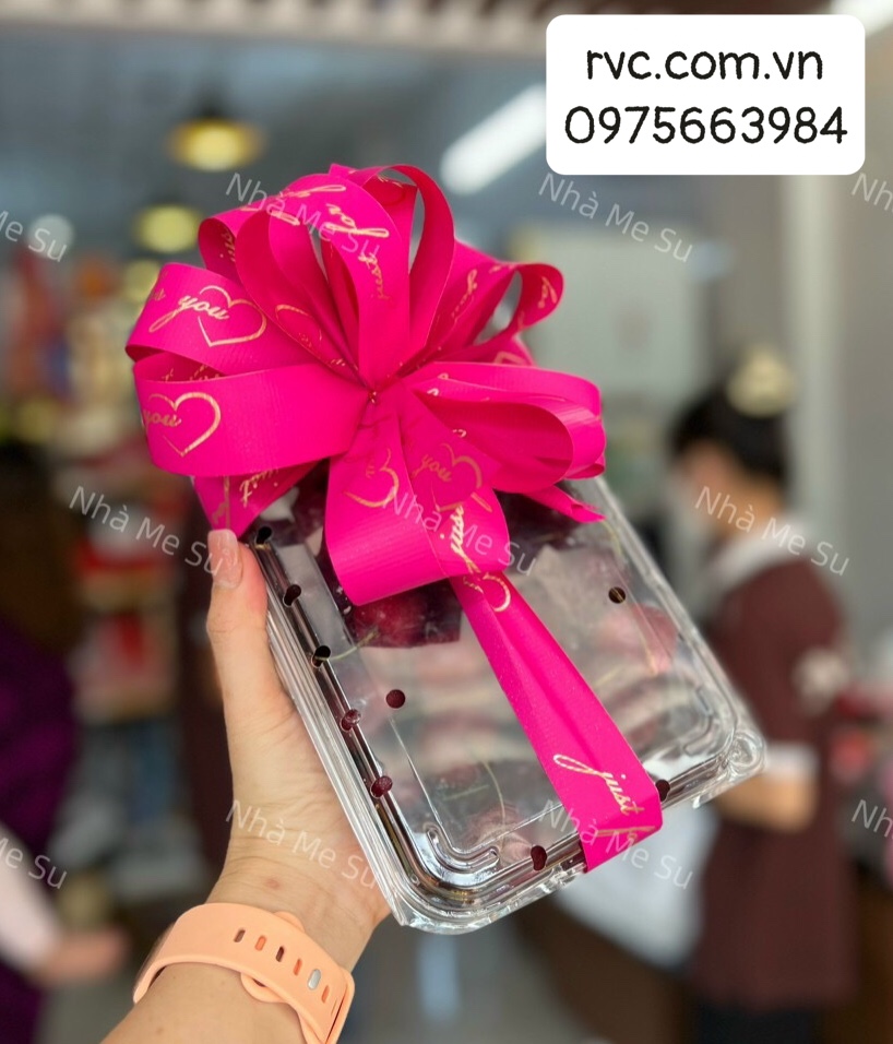 Bỏ túi mẫu hộp nhựa đựng trái cây đảm bảo chất lượng