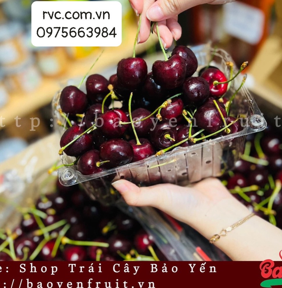 Bỏ túi mẫu hộp nhựa đựng trái cây đảm bảo chất lượng