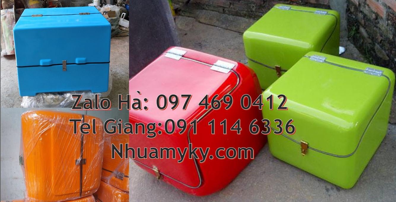 thùng ship hàng thùng giữ nhiệt giá rẻ,thùng tiếp thị,túi giữ nhiệt gi