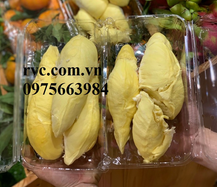 Hộp nhựa trong đựng trái cây cắt sẵn an toàn tiện lợi.