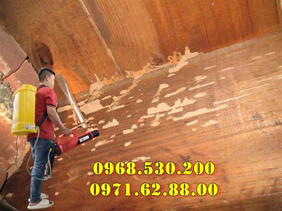 Phòng ngừa côn trùng bằng phương pháp phun Turbo BA-6