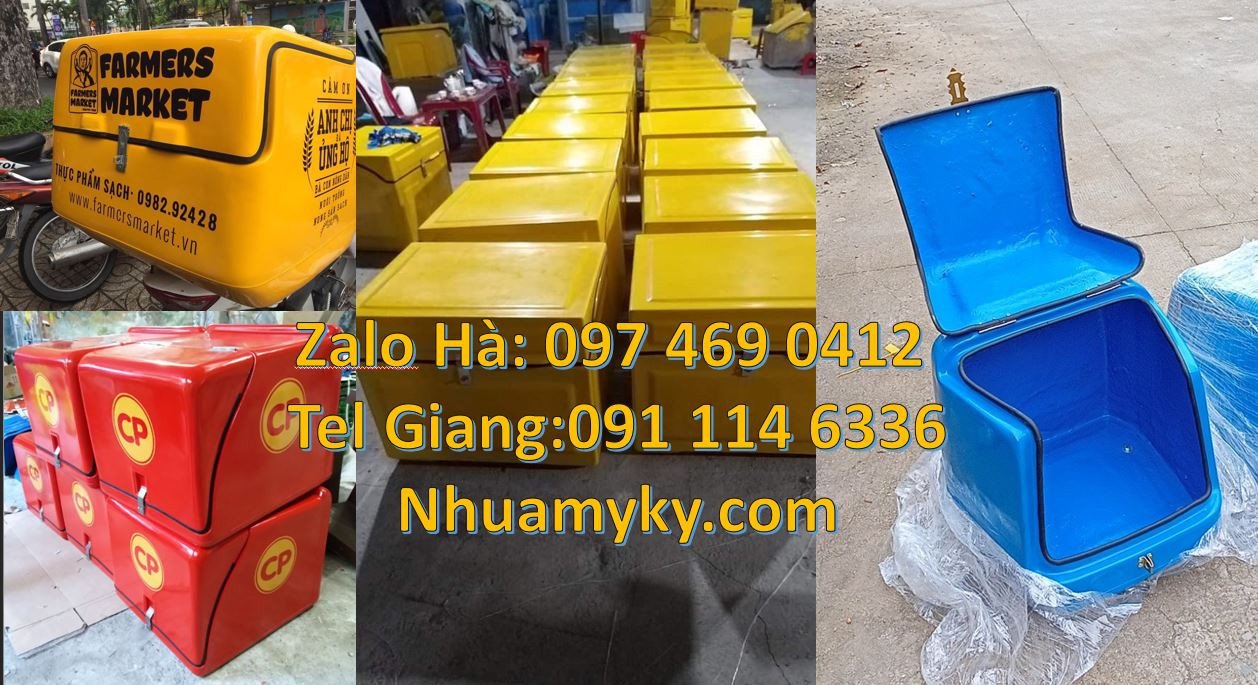 thùng chở hàng xe máy mới,thùng chở hàng giữ nhiệt đa năng,thùng giao