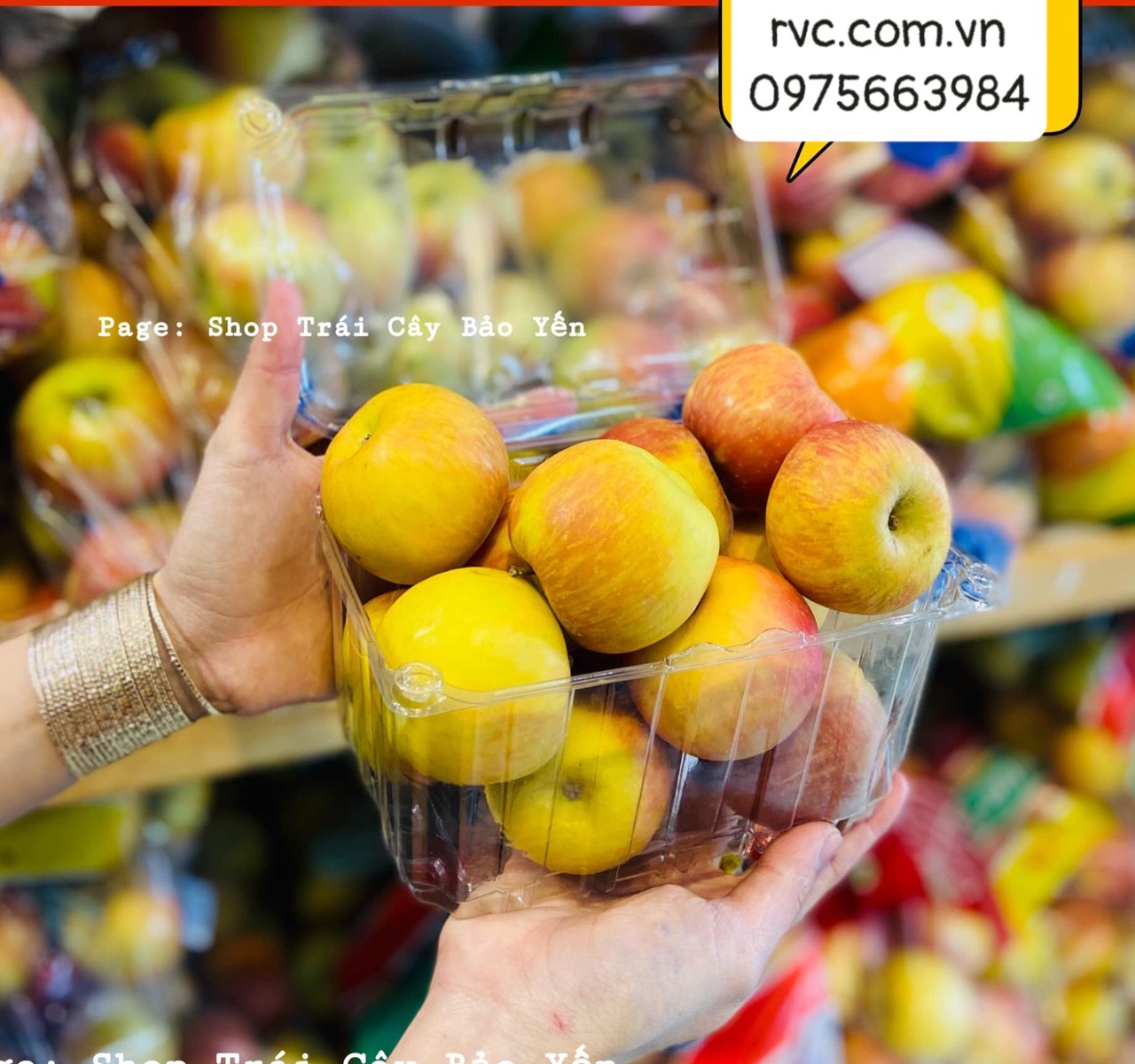 Chuyên sỉ hộp nhựa đựng trái cây P1000B trên toàn quốc