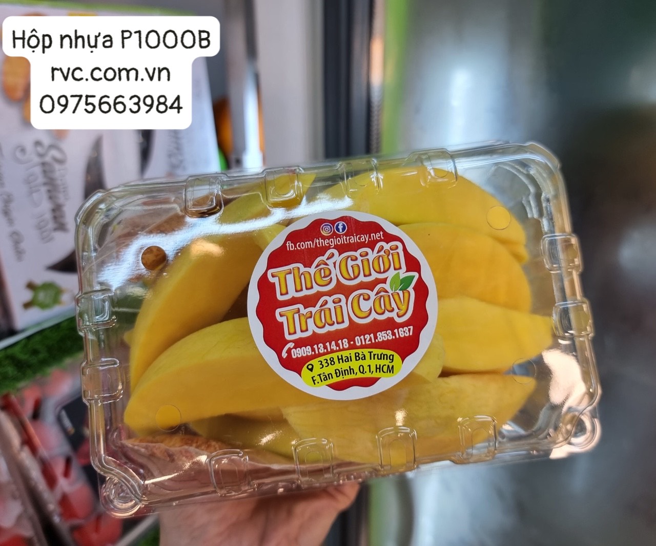 Chuyên sỉ hộp nhựa đựng trái cây P1000B trên toàn quốc