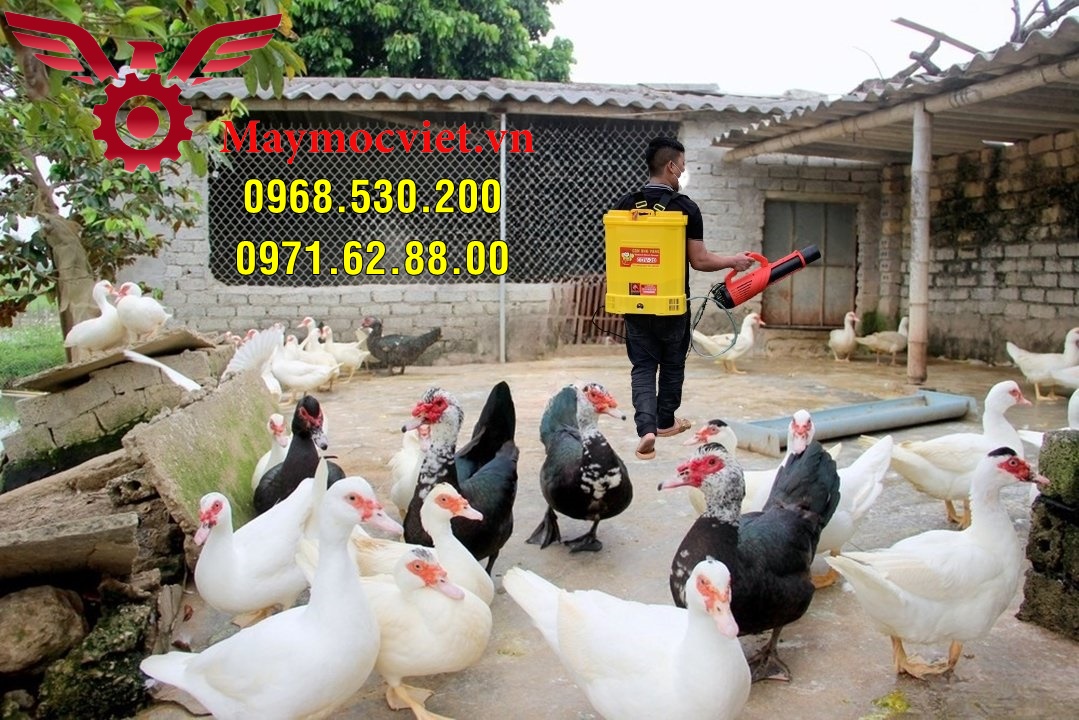 Phun khử trùng chuồng trại động vật cao cấp Turbo Ba-6